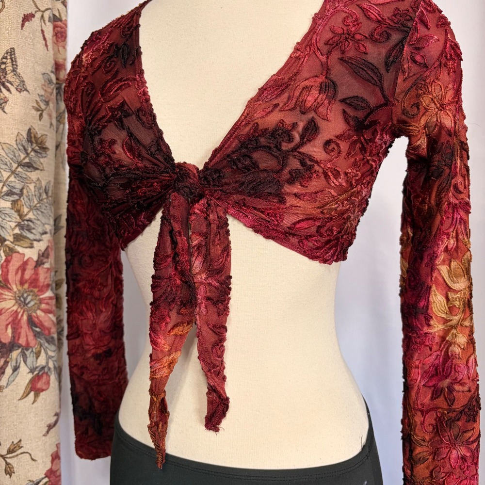 Meghan Noland Red Velvet Burnout Floral Ti Front Sheer Mesh Long sleeve Crop Top